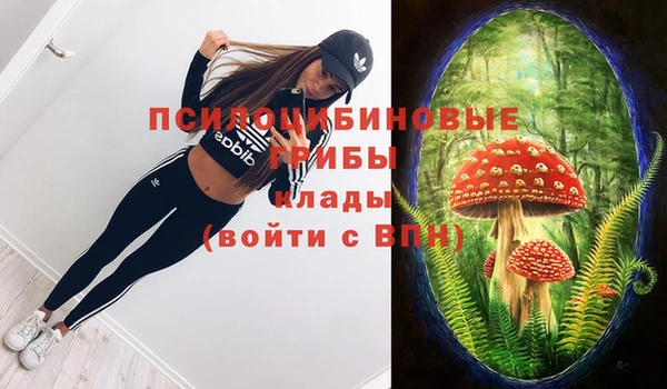 экстази Алексин